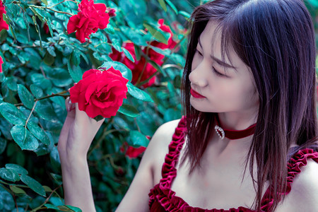 最高法：人民法院案例库收录案例数量突破5000件